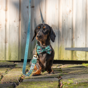 Disney© Bow Tie - Jungle Book