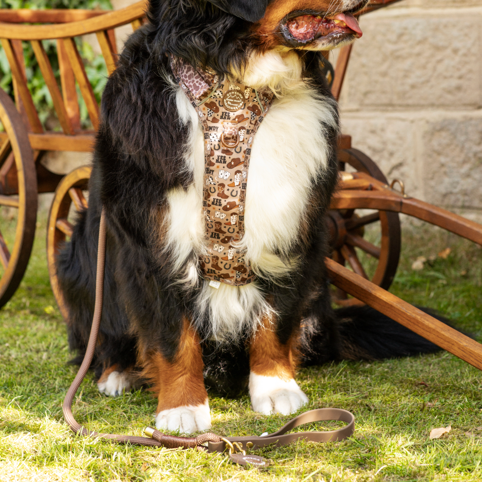 4ft Rope Lead - Brown