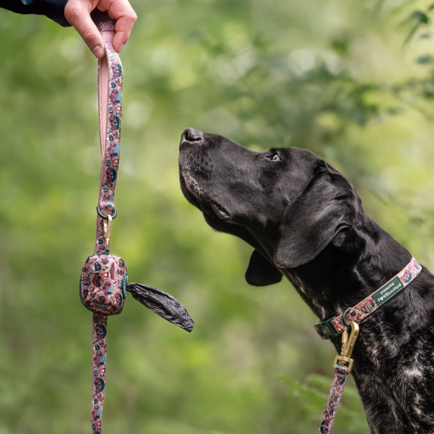 Poo Bag Holder - Adventure Awaits