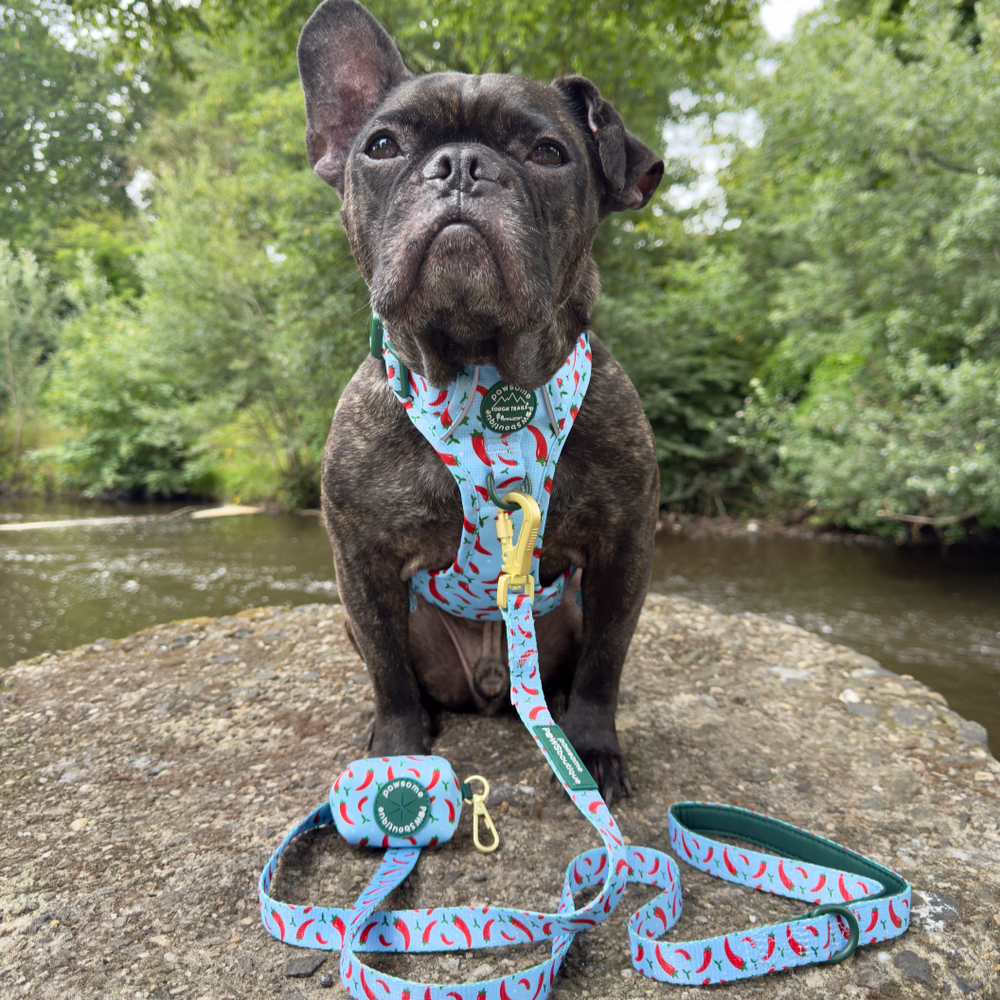 Poo Bag Holder - Stay Spicy