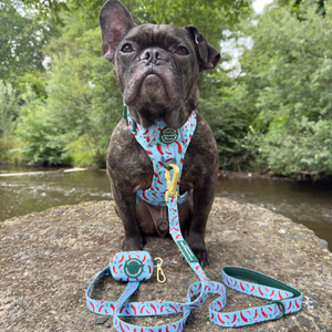 Poo Bag Holder - Stay Spicy