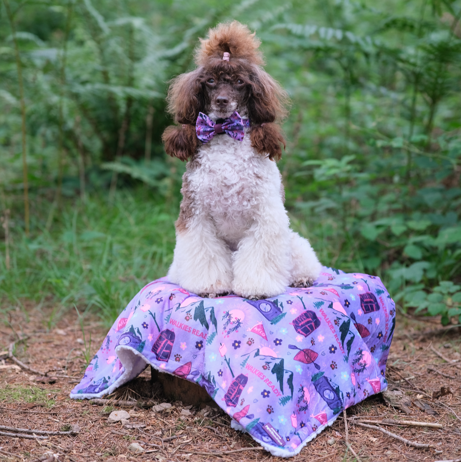 Dog Blanket - Roaming Wild