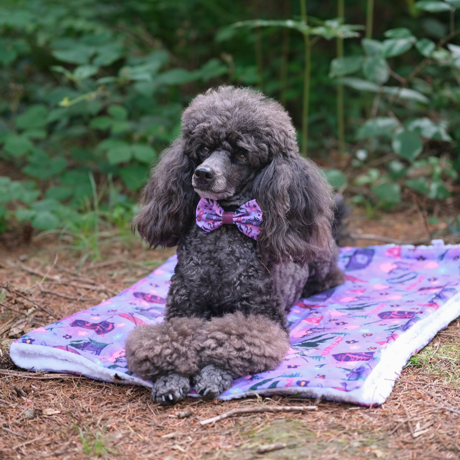 Dog Blanket - Roaming Wild