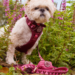 Poo Bag Holder - Walkies Ready® Mulberry