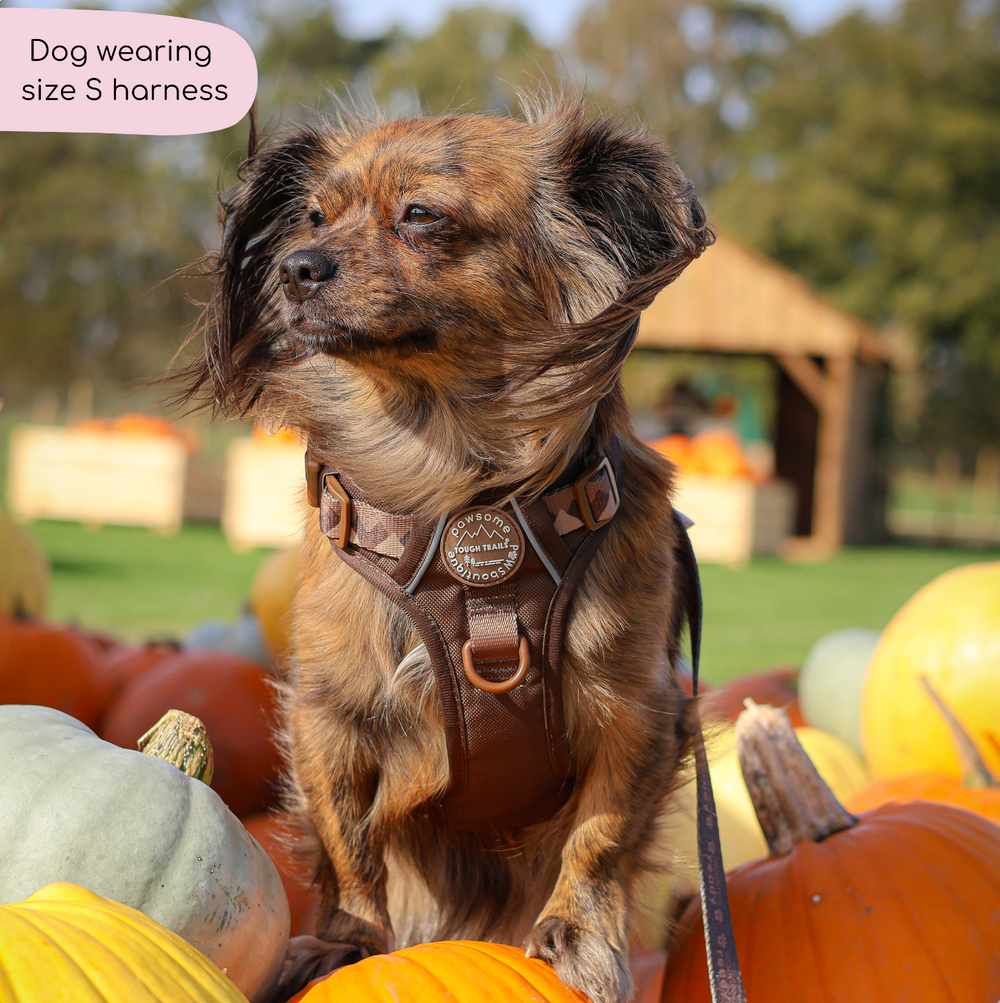 Tough Trails™ Harness - Walkies Ready® Chocolate Brown