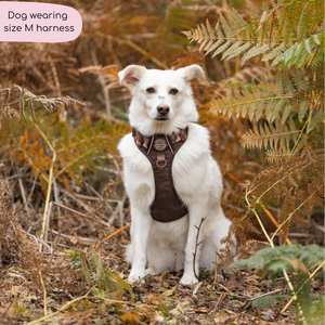 Tough Trails™ Harness - Walkies Ready® Chocolate Brown