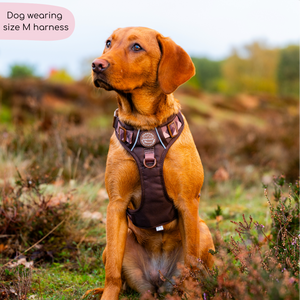 Tough Trails™ Harness - Walkies Ready® Chocolate Brown