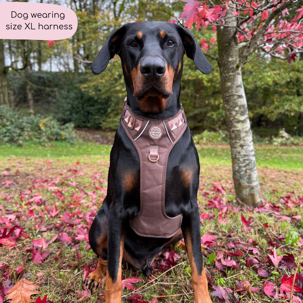 Tough Trails™ Harness - Walkies Ready® Chocolate Brown