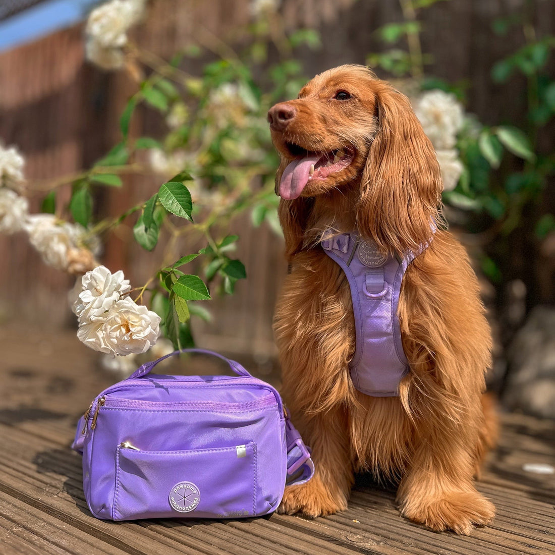 All In One Bumbag - Lavender Lilac