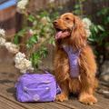 All In One Bumbag - Lavender Lilac