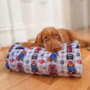 Paddington™ Dog Blanket - London