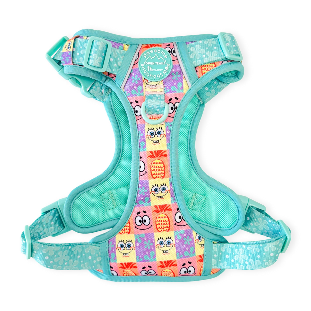 Tough Trails™ Harness - Spongebob