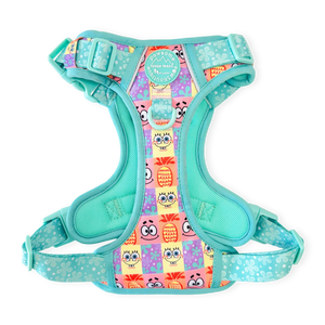Tough Trails™ Harness - Spongebob