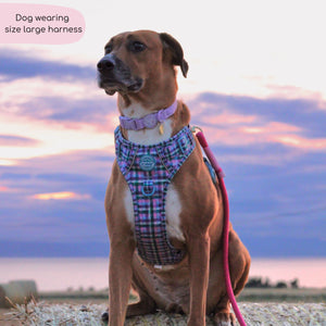 Tough Trails™ Harness -  Tweed Twilight