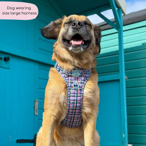 Tough Trails™ Harness -  Tweed Twilight