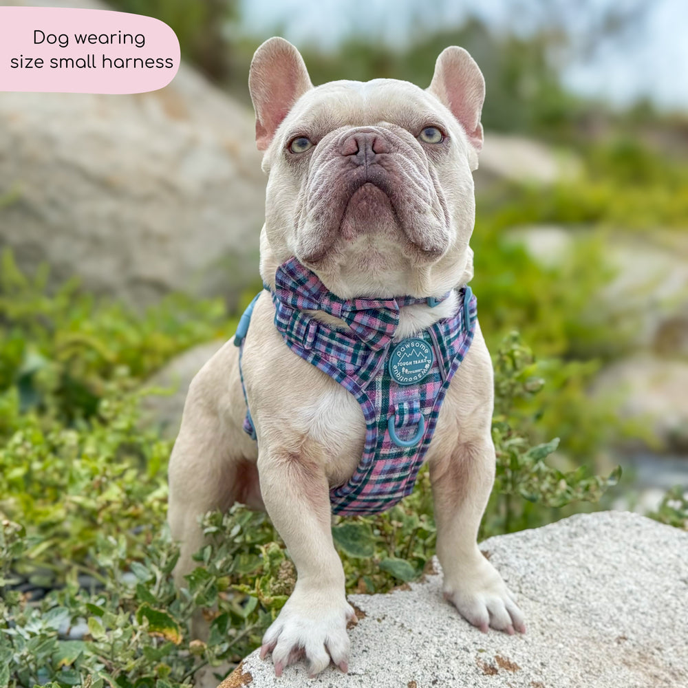 Tough Trails™ Harness -  Tweed Twilight