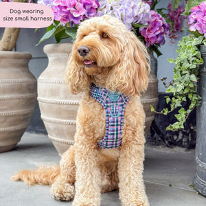 Tough Trails™ Harness -  Tweed Twilight