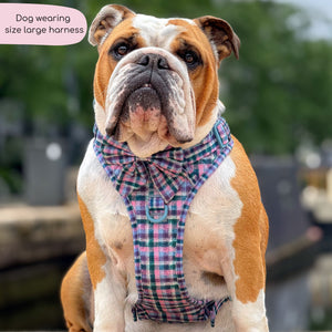 Tough Trails™ Harness -  Tweed Twilight