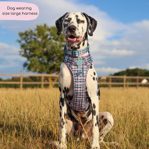 Tough Trails™ Harness -  Tweed Twilight