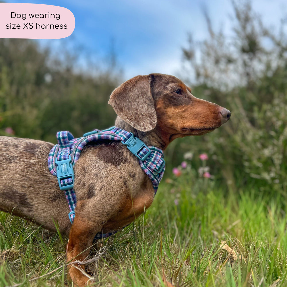 Tough Trails™ Harness -  Tweed Twilight