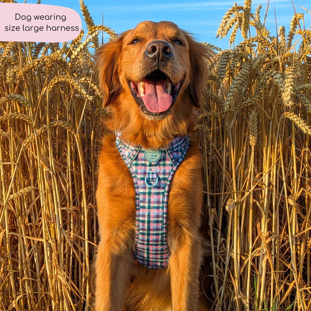 Tough Trails™ Harness -  Tweed Twilight