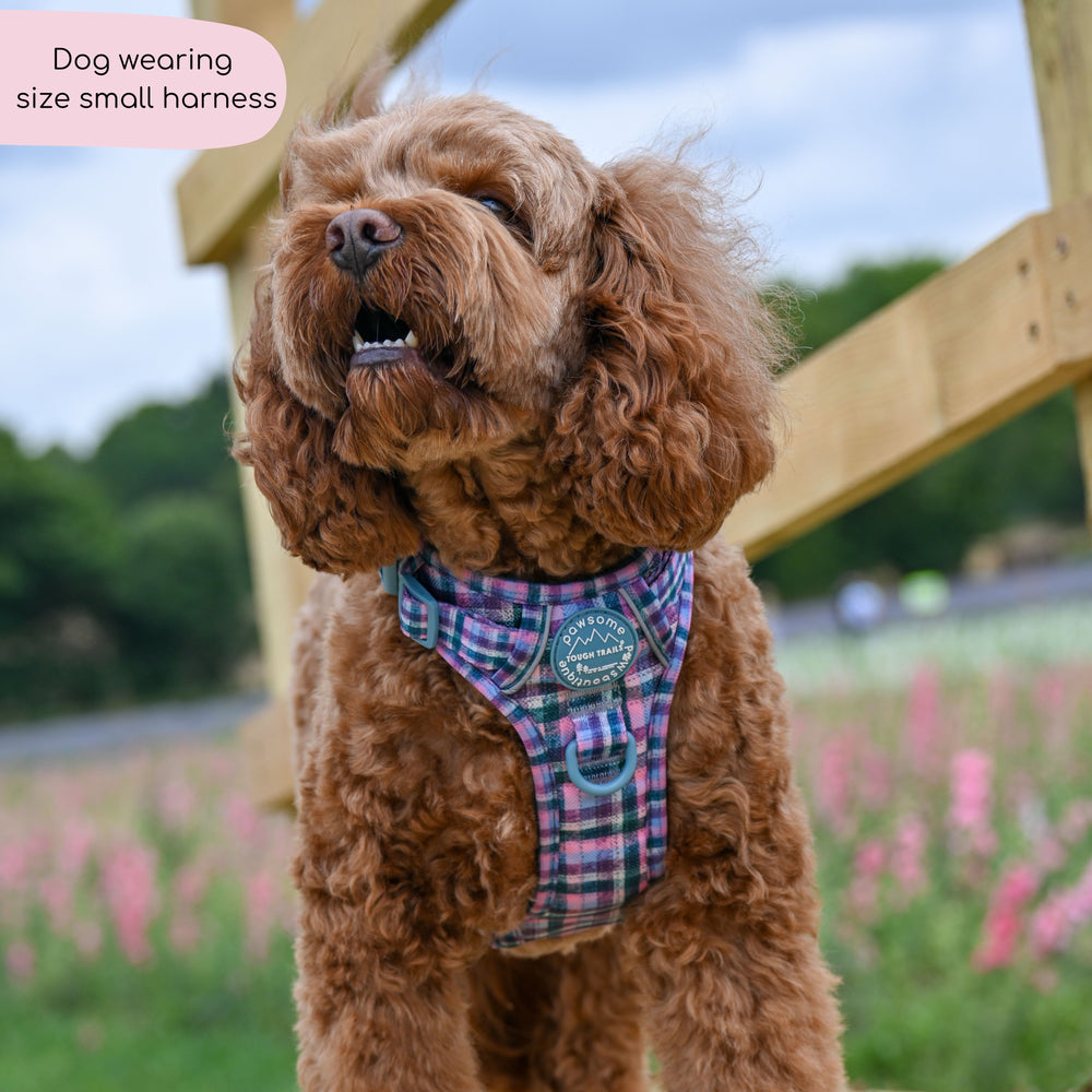 Tough Trails™ Harness -  Tweed Twilight