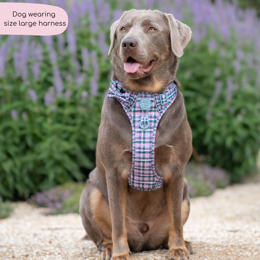 Tough Trails™ Harness -  Tweed Twilight