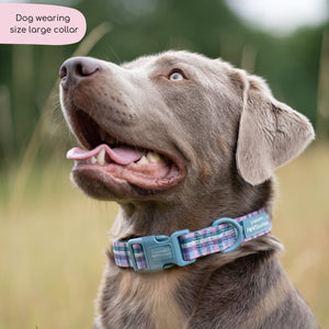 Collar - Tweed Twilight