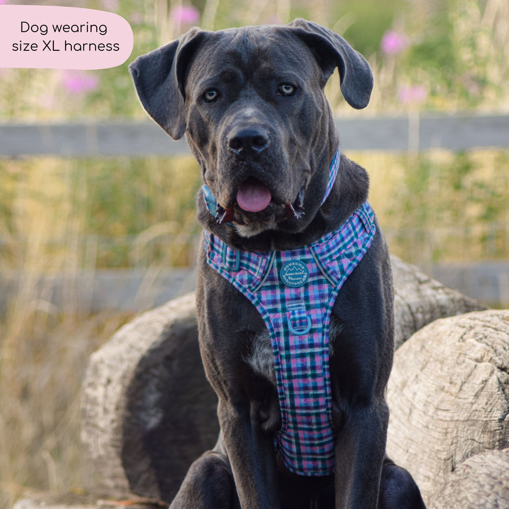 Tough Trails™ Harness -  Tweed Twilight