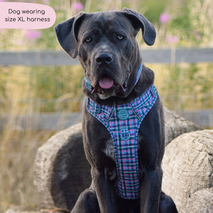 Tough Trails™ Harness -  Tweed Twilight