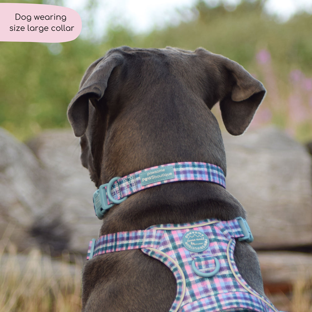 Collar - Tweed Twilight