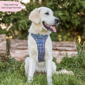 Tough Trails™ Harness -  Tweed Twilight