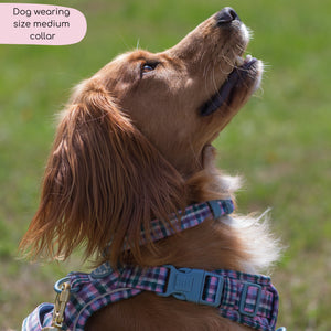 Collar - Tweed Twilight