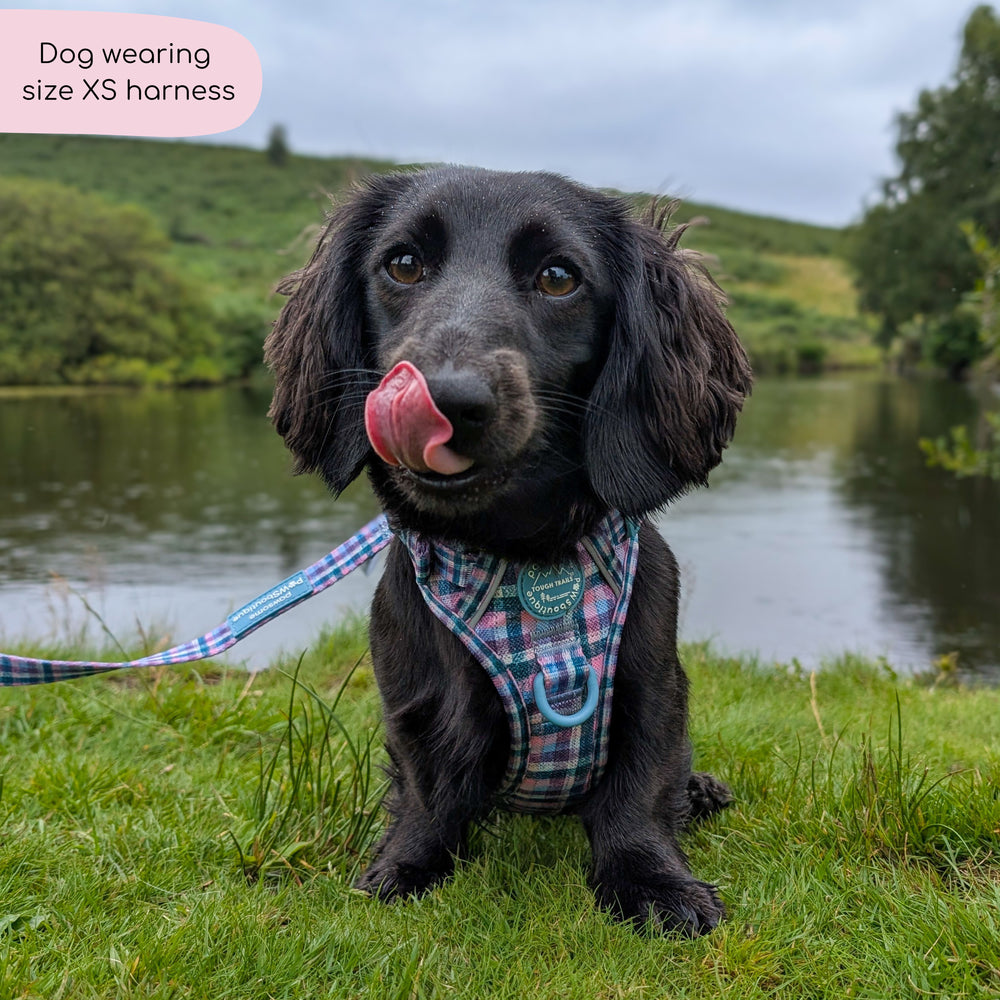 Tough Trails™ Harness -  Tweed Twilight