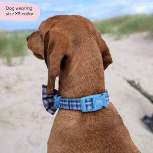 Collar - Tweed Twilight