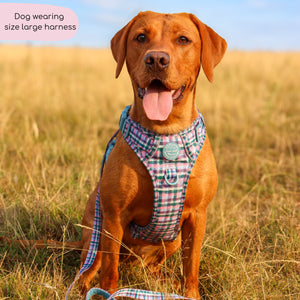 Tough Trails™ Harness -  Tweed Twilight