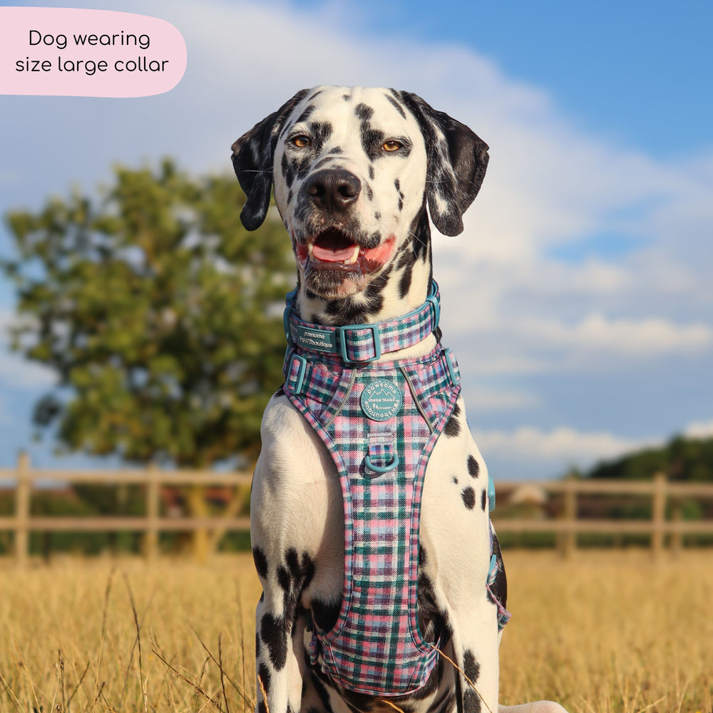 Collar - Tweed Twilight