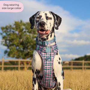 Collar - Tweed Twilight