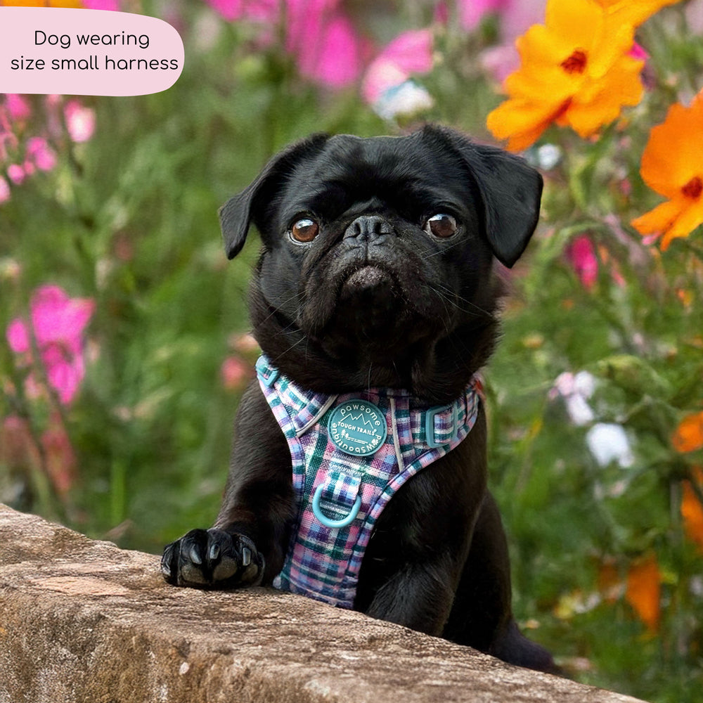 Tough Trails™ Harness -  Tweed Twilight