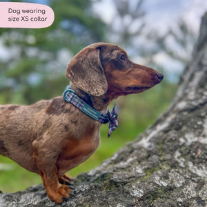 Collar - Tweed Twilight