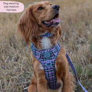Tough Trails™ Harness -  Tweed Twilight