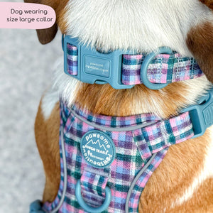 Collar - Tweed Twilight