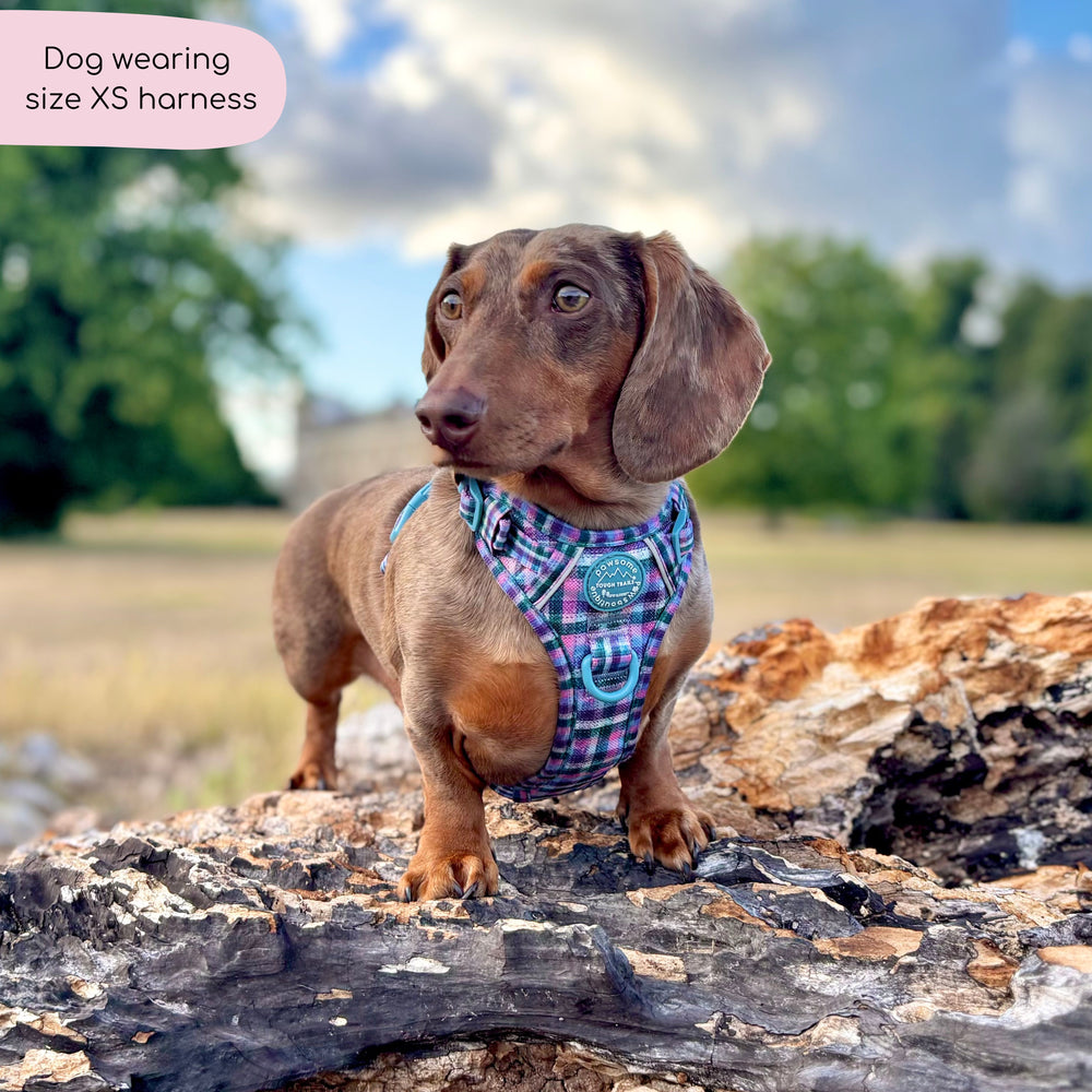 Tough Trails™ Harness -  Tweed Twilight