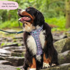 Tough Trails™ Harness -  Tweed Twilight