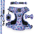 Tiny Diny Ultimate Bundle