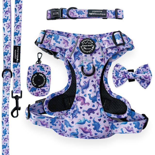 Tiny Diny Ultimate Bundle