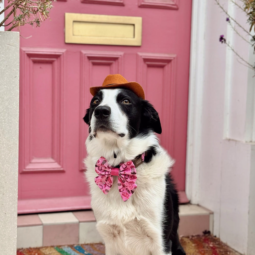 Sailor Bow Tie - Cowgirl