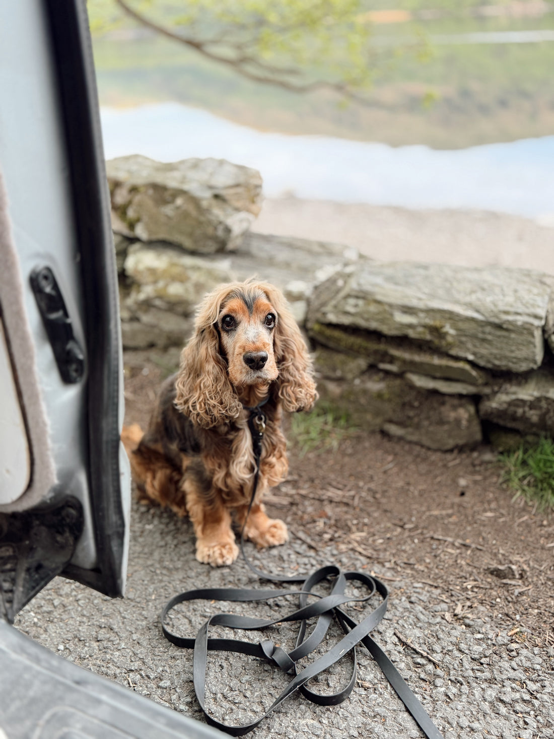 5m Waterproof Long Line Lead - Walkies Ready® Black