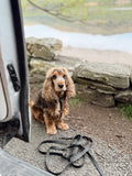 5m Waterproof Long Line Lead - Walkies Ready® Black