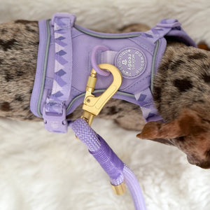 4ft Rope Lead - Walkies Ready® Lavender Lilac